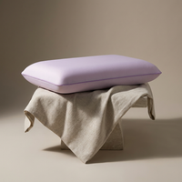 The Coolside Pillow