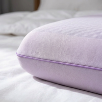 The Coolside Pillow